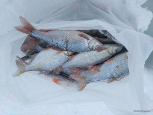 IMG_20170109_152309.jpg