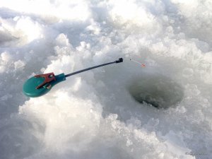 IMG_20170116_134237.jpg