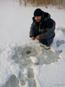 IMG_20170116_143358.jpg