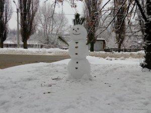 IMG_20170116_084527.jpg