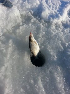 20170117_094401.jpg