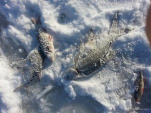 20170117_095954.jpg