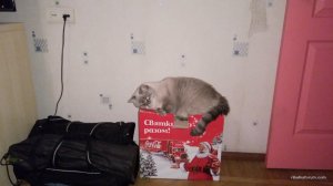IMG_20161229_154334.jpg