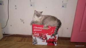 IMG_20161229_153310.jpg