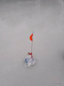 IMG_20161210_080515.jpg