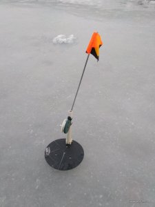 IMG_20161210_081937.jpg