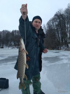 IMG_20161210_102553.jpg