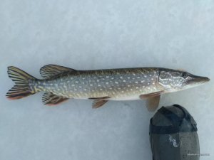 IMG_20161210_095927.jpg