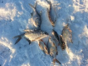 20170117_151657.jpg