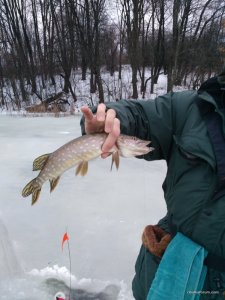 IMG_20161210_073303.jpg