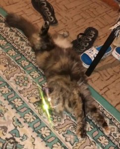 IMG_20170117_193120.jpg