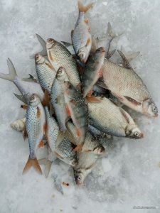 20170118_131641.jpg