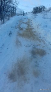 20170118_152237.jpg