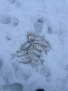 IMG_0657.JPG