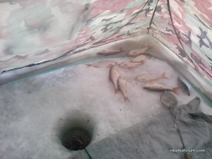 PANO_20170119_100749754.jpg