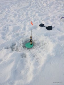 IMG_20170119_092646.jpg
