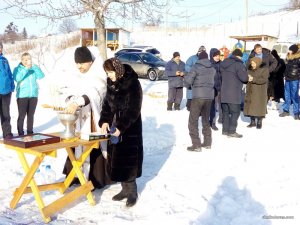 IMG_20170119_103440.jpg