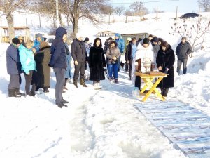 IMG_20170119_103716.jpg