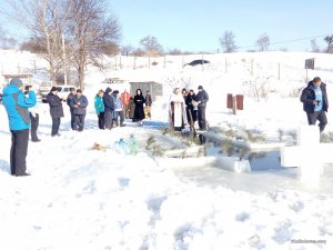 IMG_20170119_104929.jpg