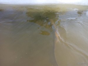IMG_20170119_111741.jpg