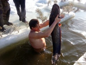 IMG_20170119_111901.jpg