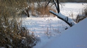 2017-01-19-873.jpg