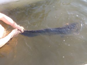 IMG_20170119_111909.jpg