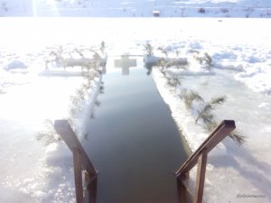 IMG_20170119_111211.jpg