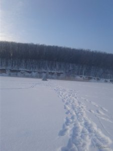 20170119_112254.jpg
