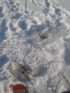 20170119_121543.jpg