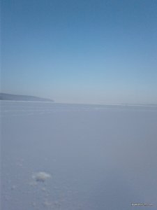 20170119_112305.jpg