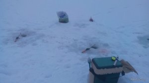 IMG_20170121_075313.jpg