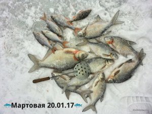 Мартовая 20.01.17.jpg