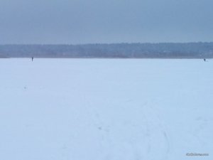 DSC_0087.jpg