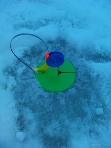 IMG_20170121_072850.jpg