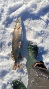 IMG_20170122_104115.jpg