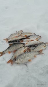 20170121_124712.jpg