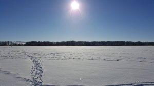 20170122_110408.jpg