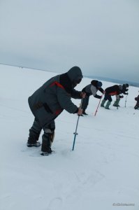 IMG_3979.JPG