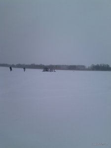 IMG_20170121_112046.jpg