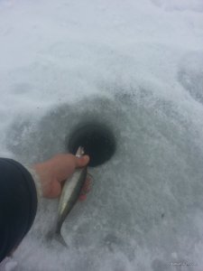 20170123_084942.jpg