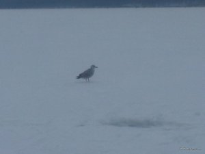 20170123_100751.jpg