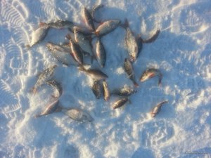 20170123_150525.jpg