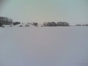IMG_20170123_084956.jpg