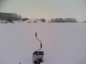 IMG_20170123_085027.jpg
