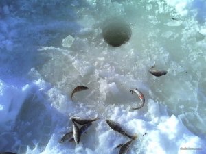IMG_20170123_133009.jpg