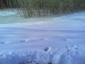 IMG_20170123_130616.jpg