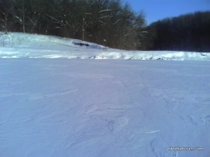 IMG_20170123_135541.jpg