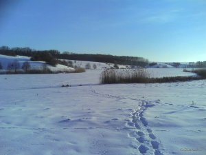 IMG_20170123_150442.jpg