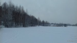 20170125_103148.jpg